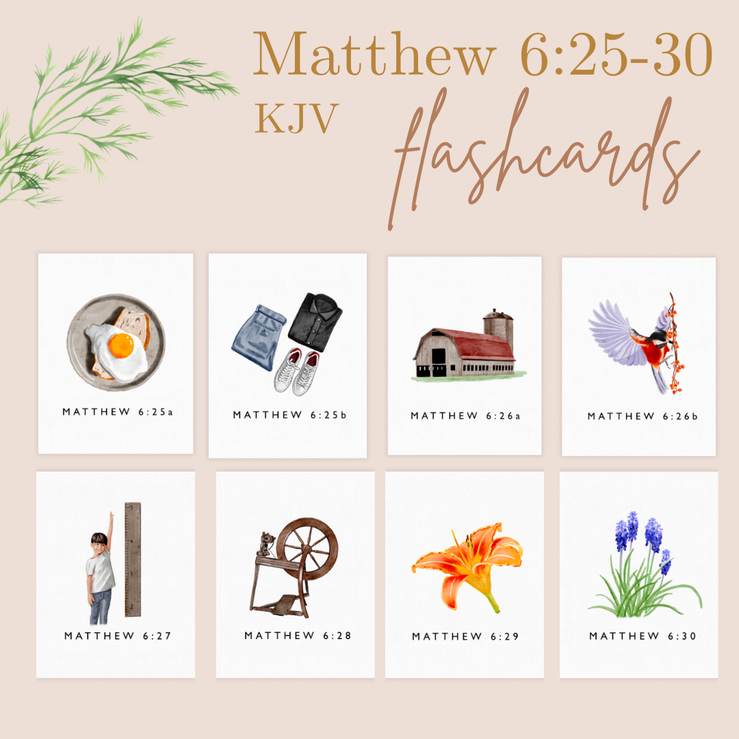 Matthew 6:25-30 KJV