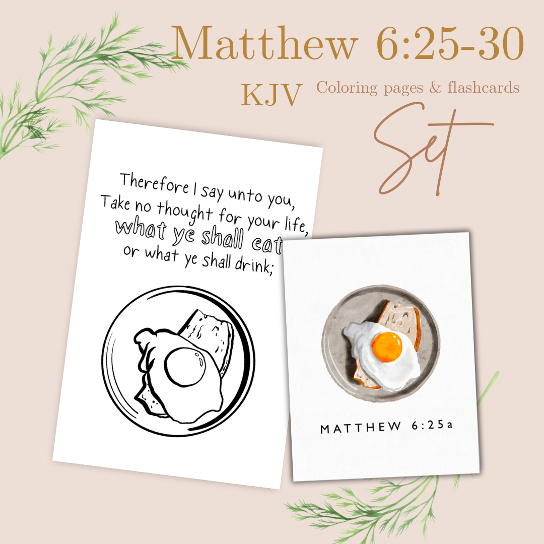 Matthew 6:25-30 KJV