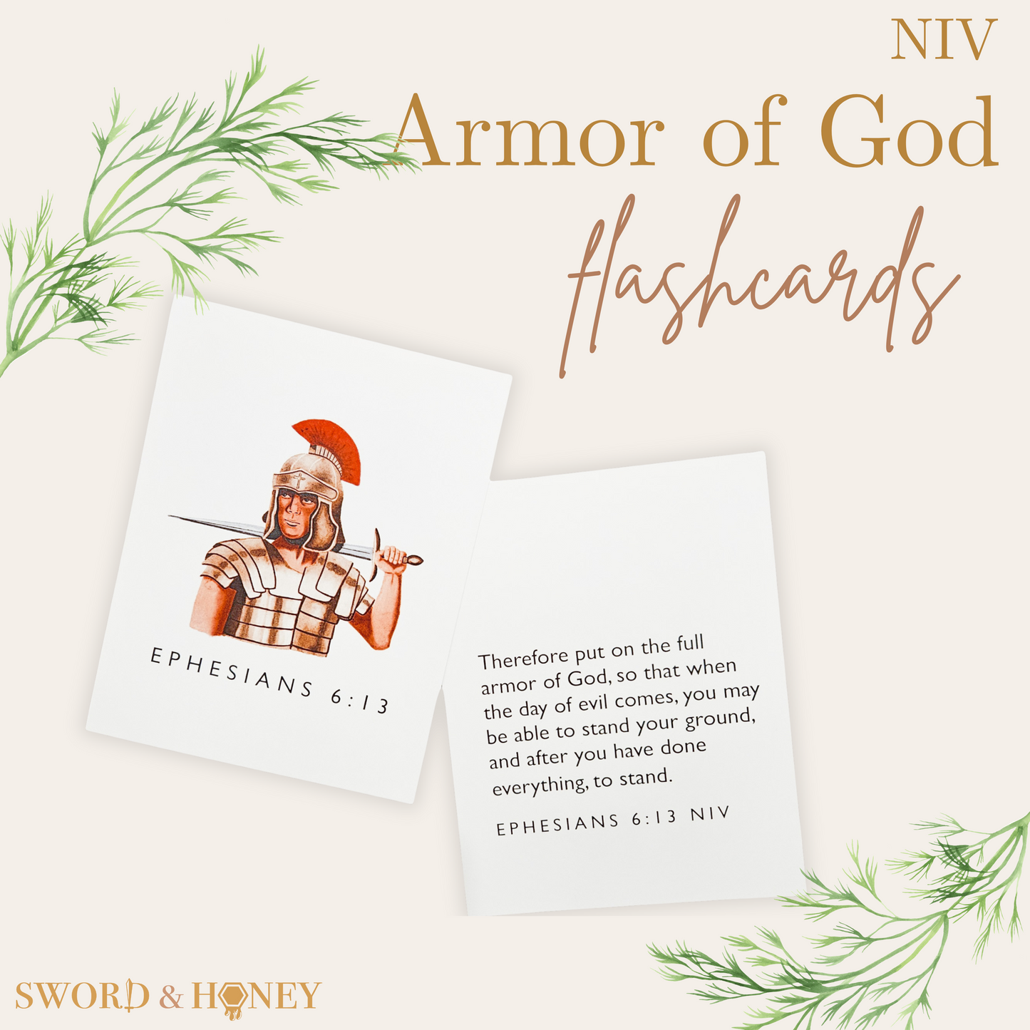 Armor of God NIV