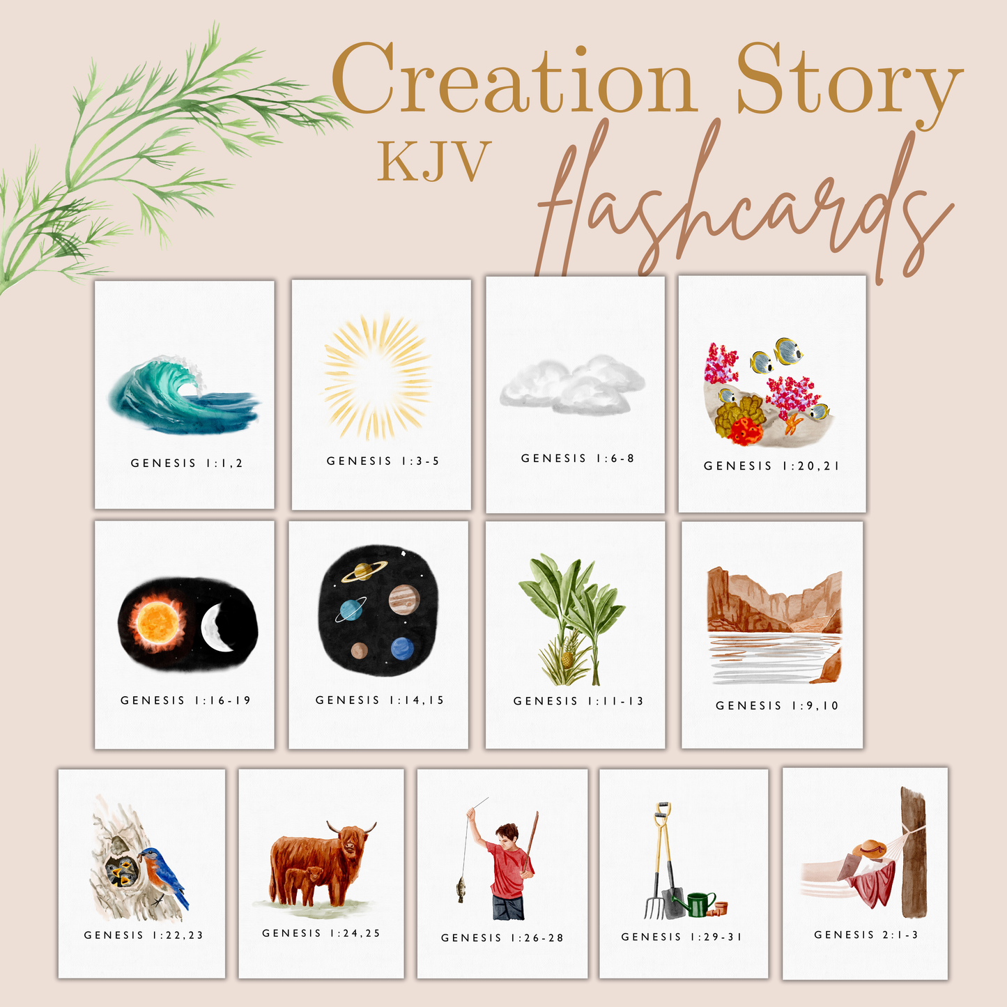 Creation Story KJV Teacher Flashcards