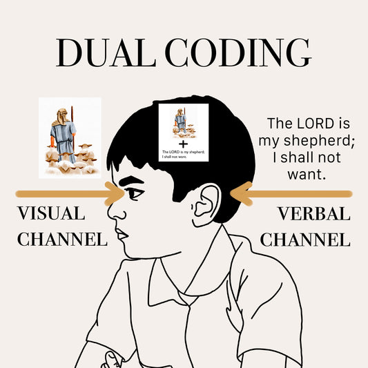 How Illustrations Help Us Memorize