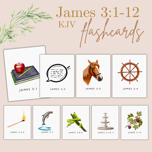 James 3 KJV Teacher Flashcards