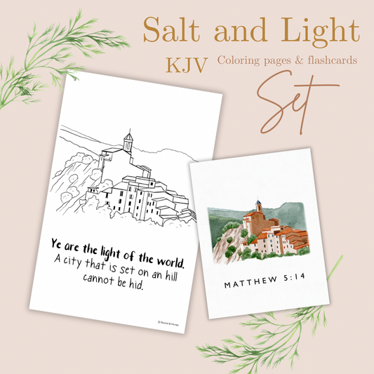 Salt and Light - Matthew 5:13-18 KJV