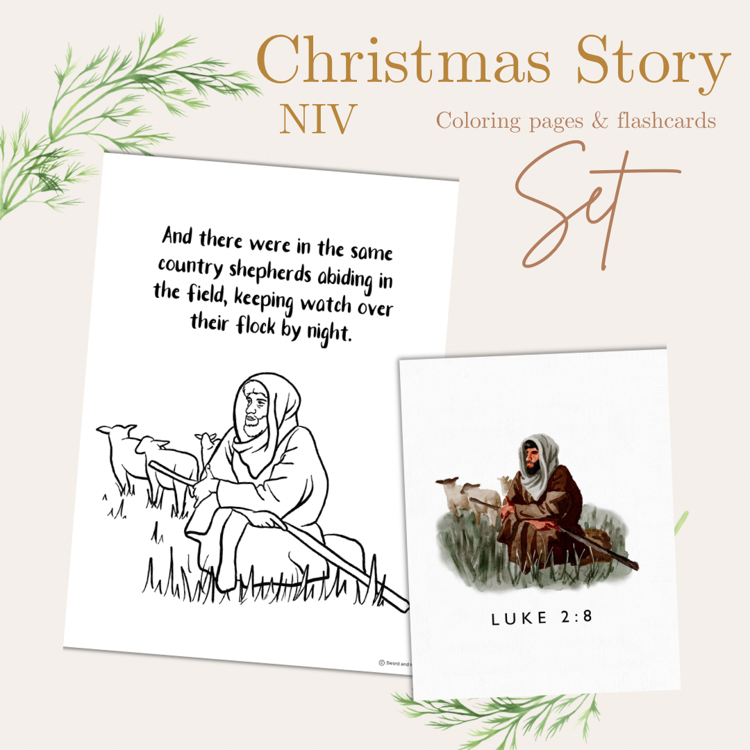 The Christmas Story NIV
