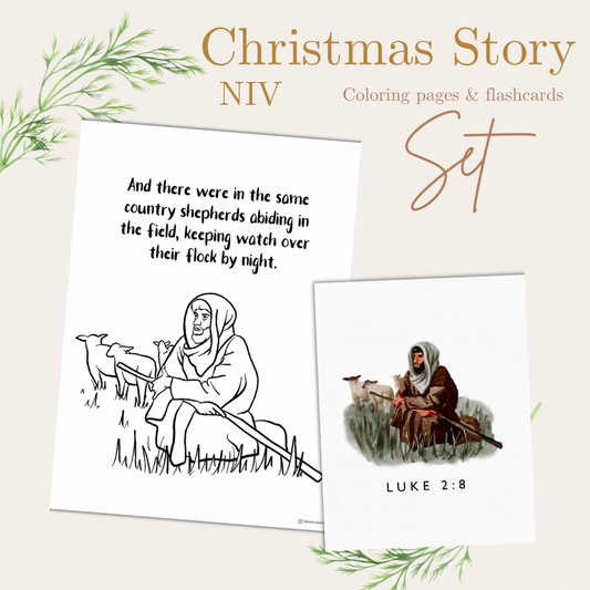 The Christmas Story NIV