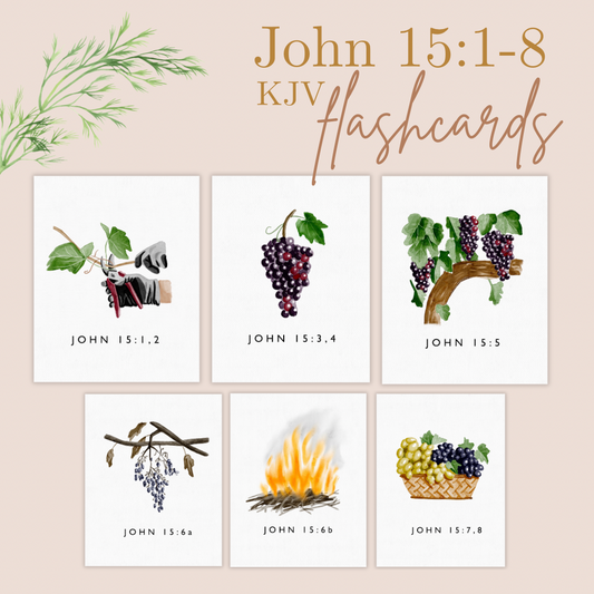 John 15 KJV Teacher Flashcards