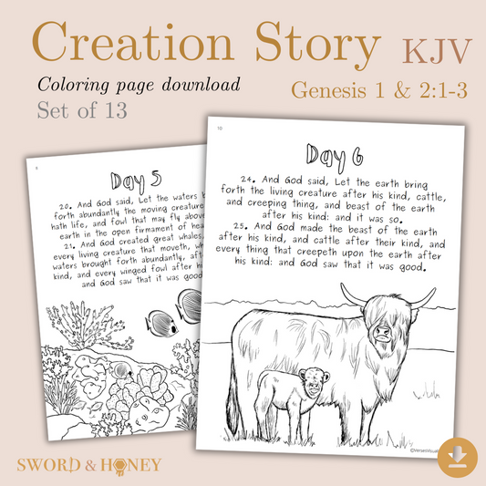 Creation Story KJV Coloring Pages Digital Download