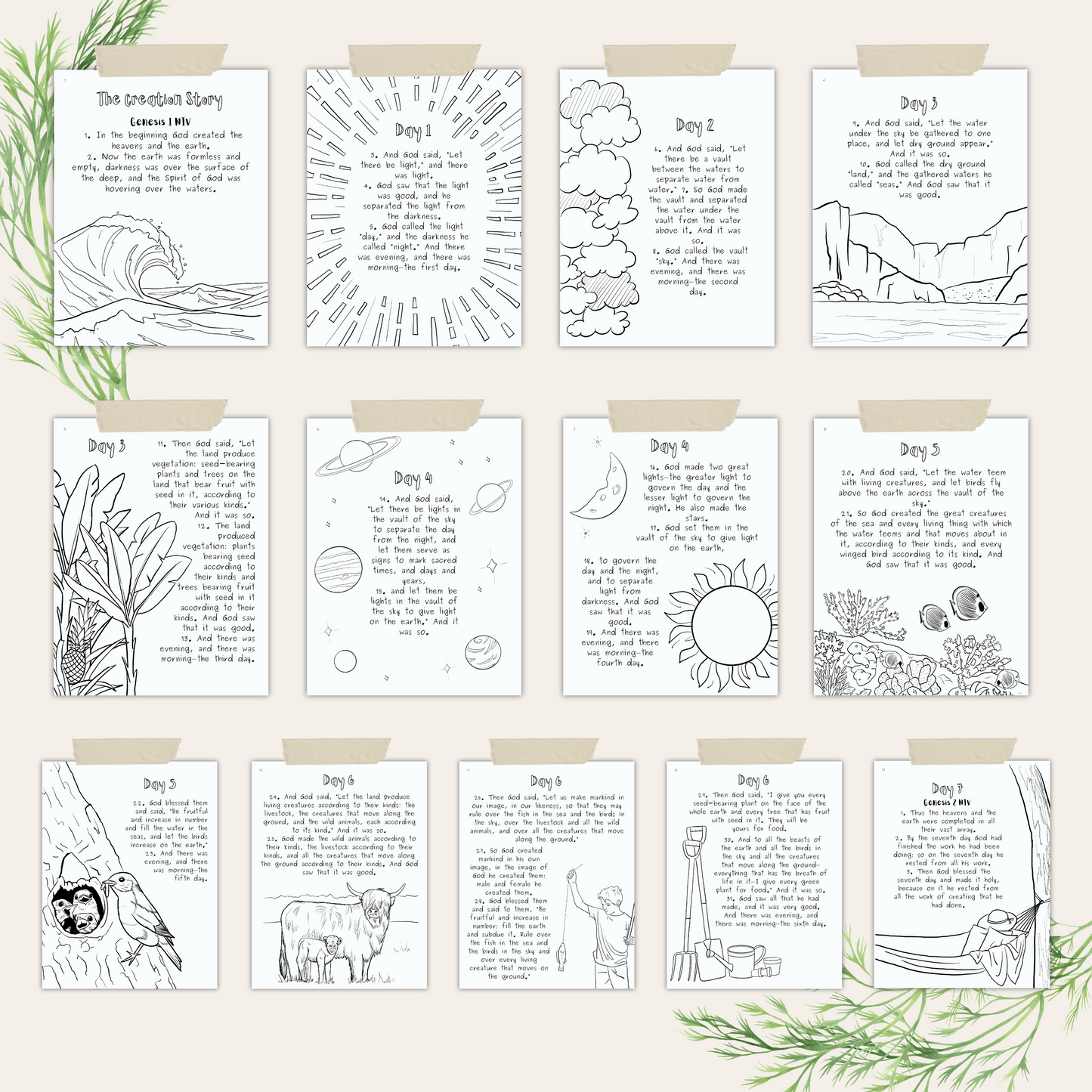 Creation NIV Coloring Pages