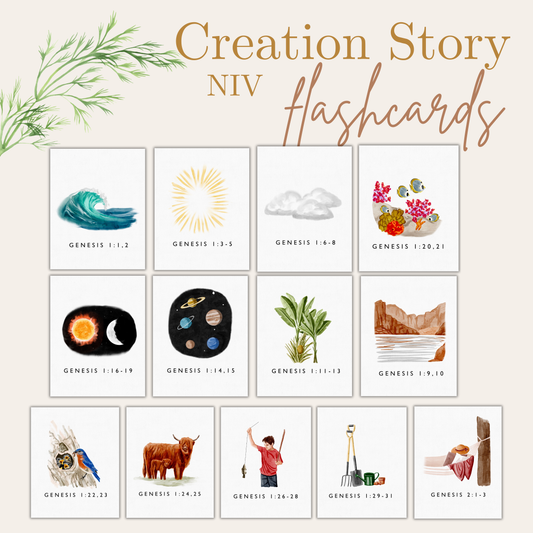 Genesis - Creation Story NIV Flashcards