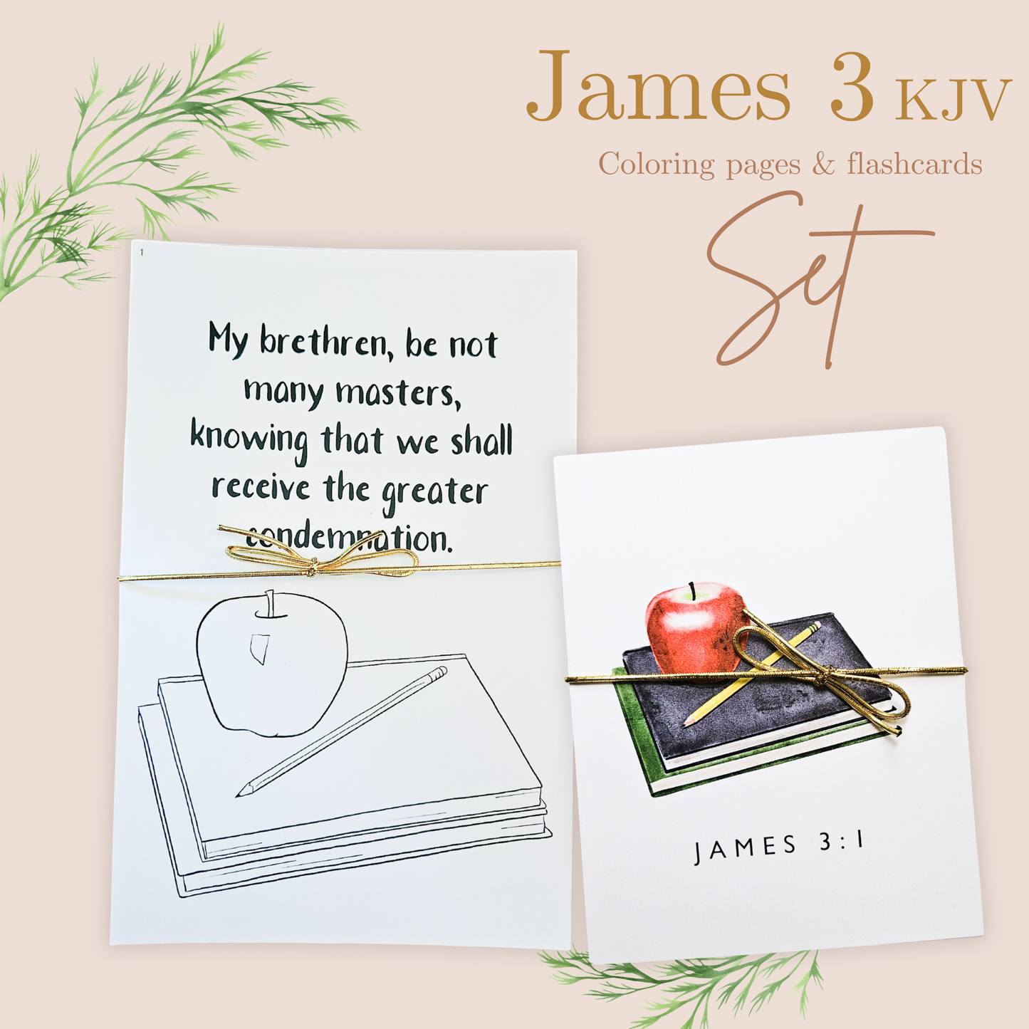 Memorization Set - James 3 KJV