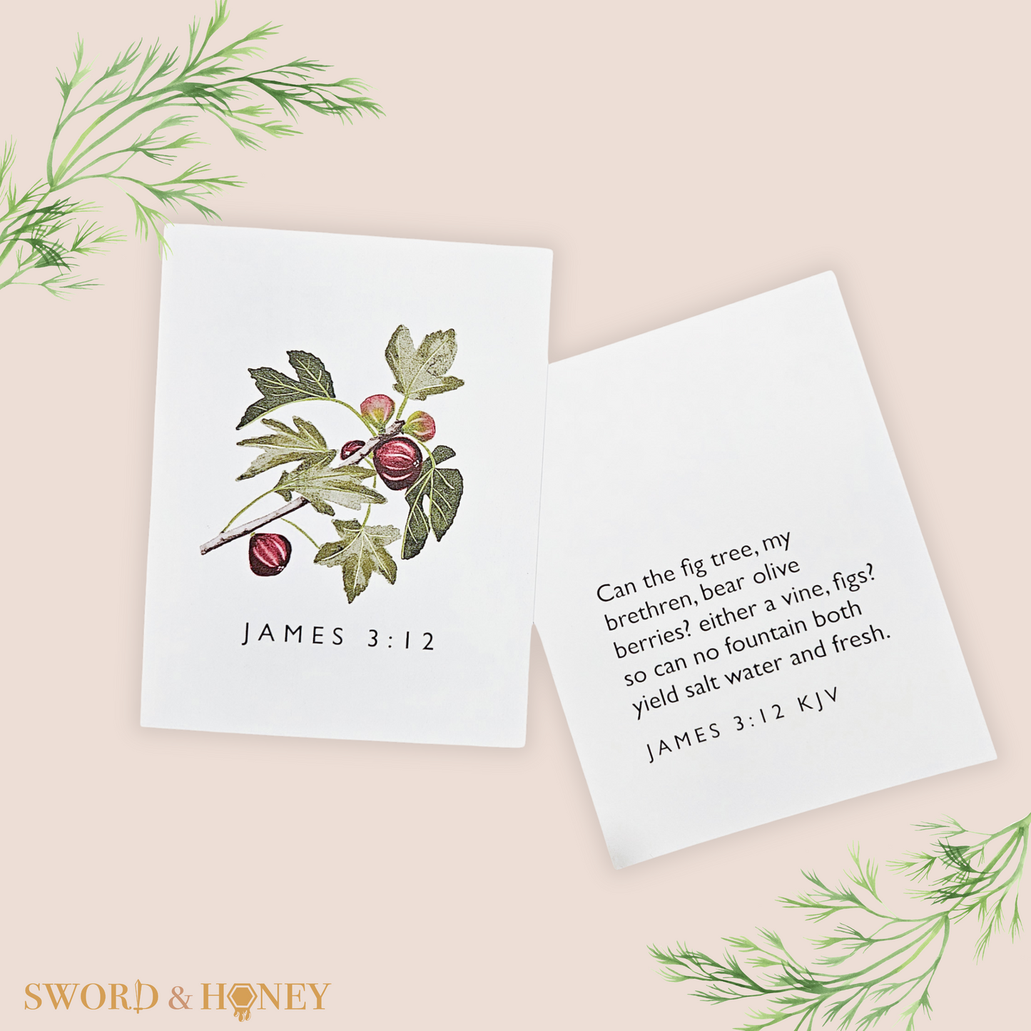 James 3 KJV Flashcards