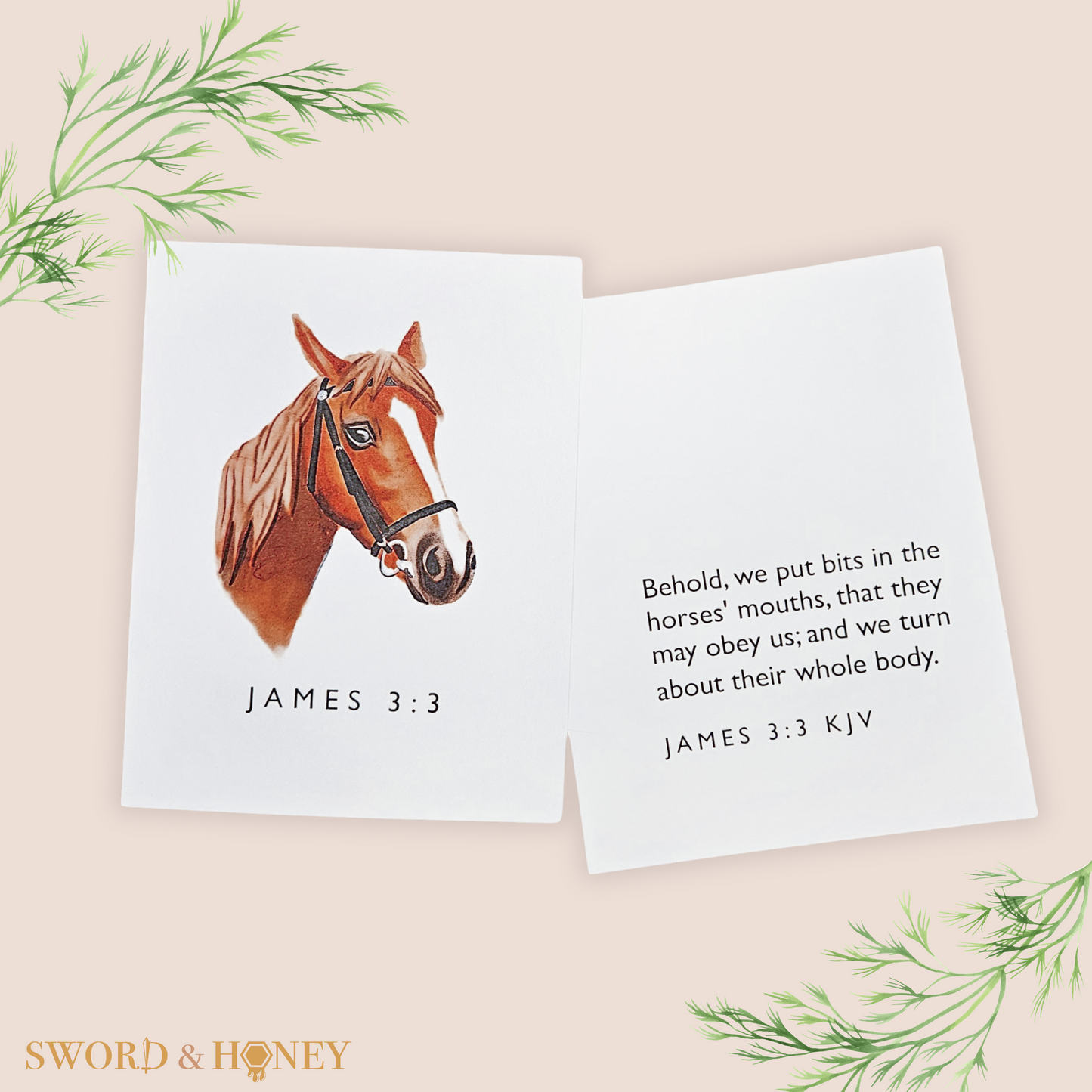 James 3 KJV Flashcards