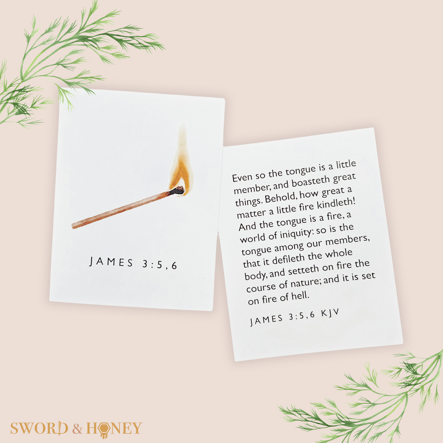 James 3 KJV Flashcards