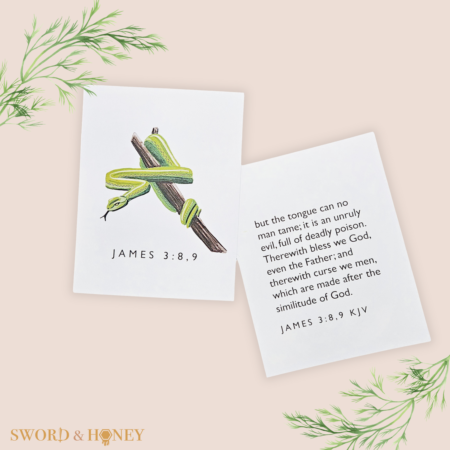 James 3 KJV Flashcards