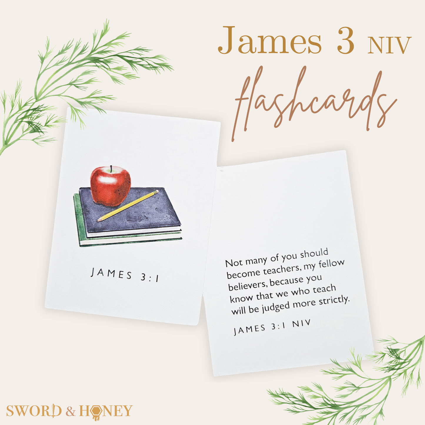 James 3 NIV Flashcards