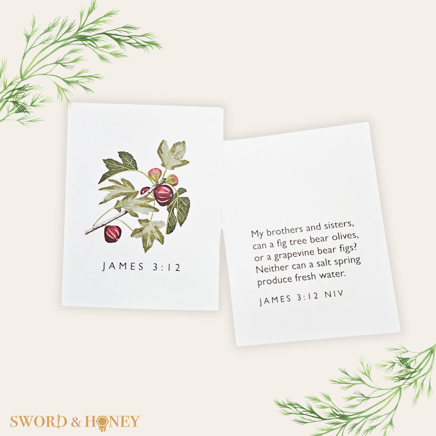 James 3 NIV Flashcards