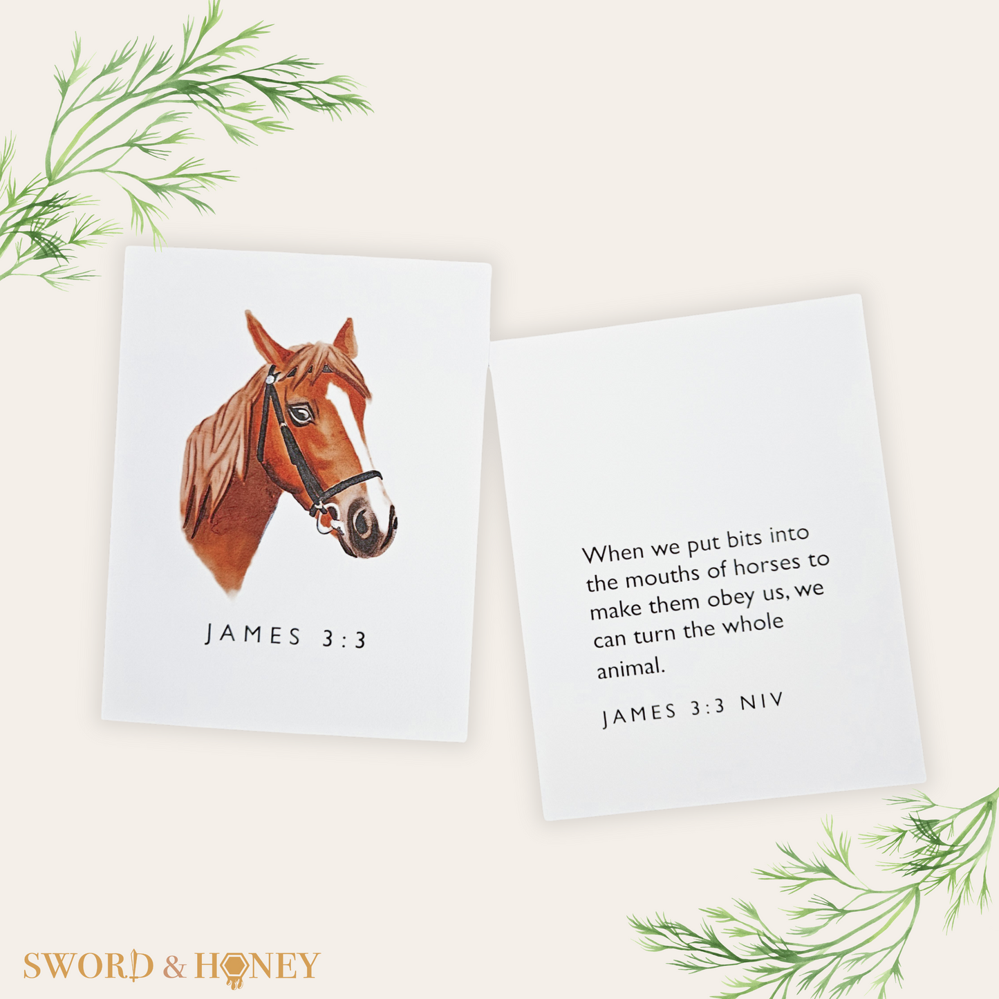 James 3 NIV Flashcards