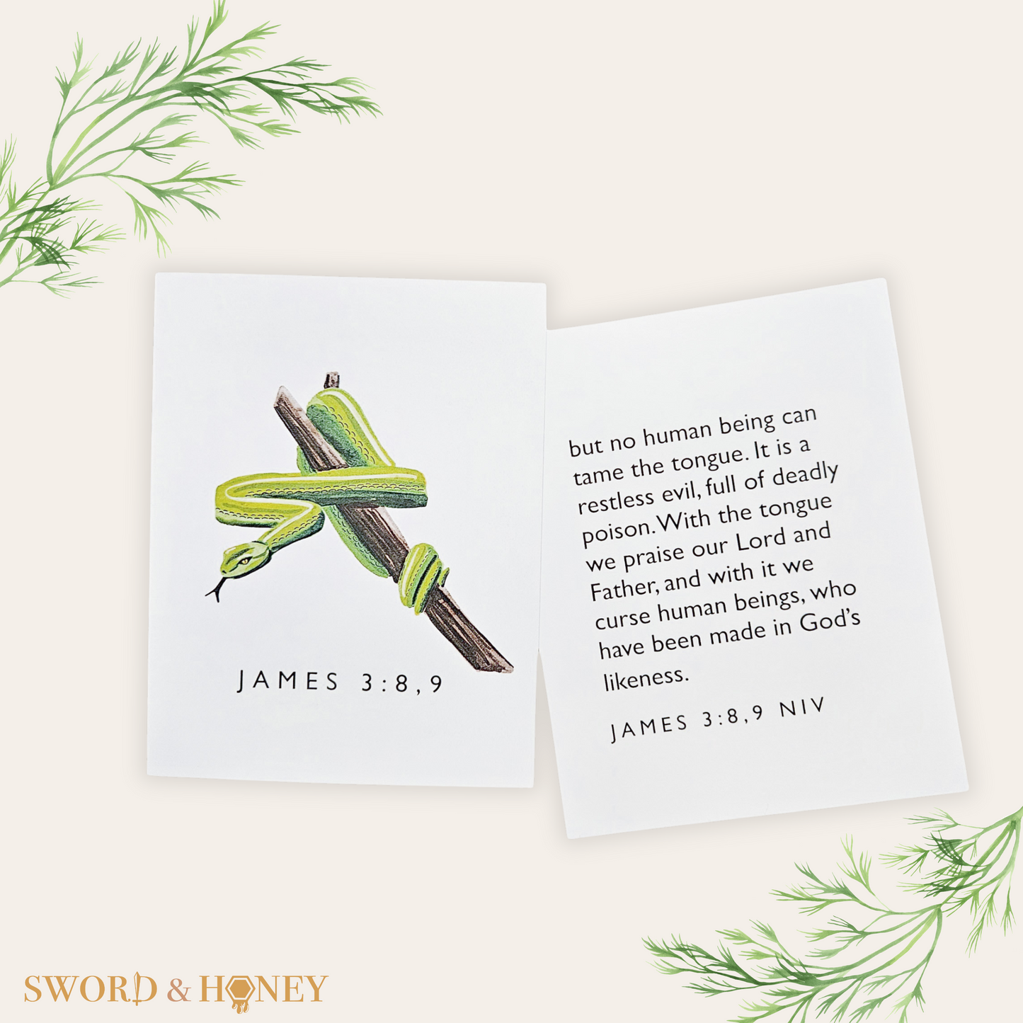 James 3 NIV Flashcards