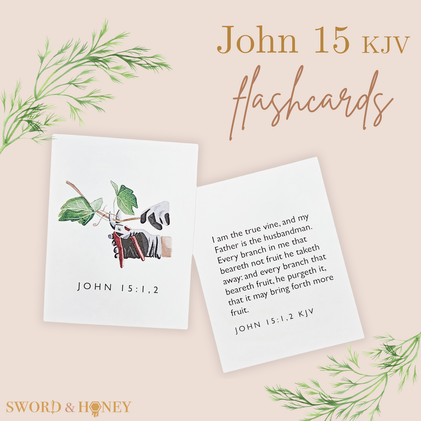 Memorization Set - John 15 KJV