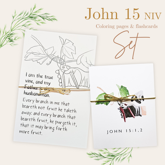 Memorization Set - John 15 NIV