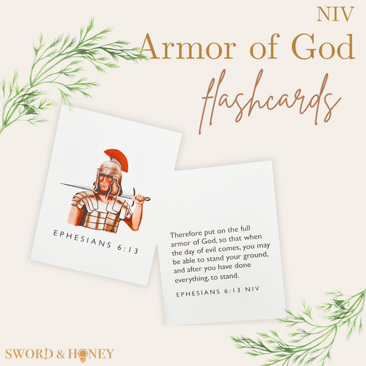 Armor of God NIV Flashcards