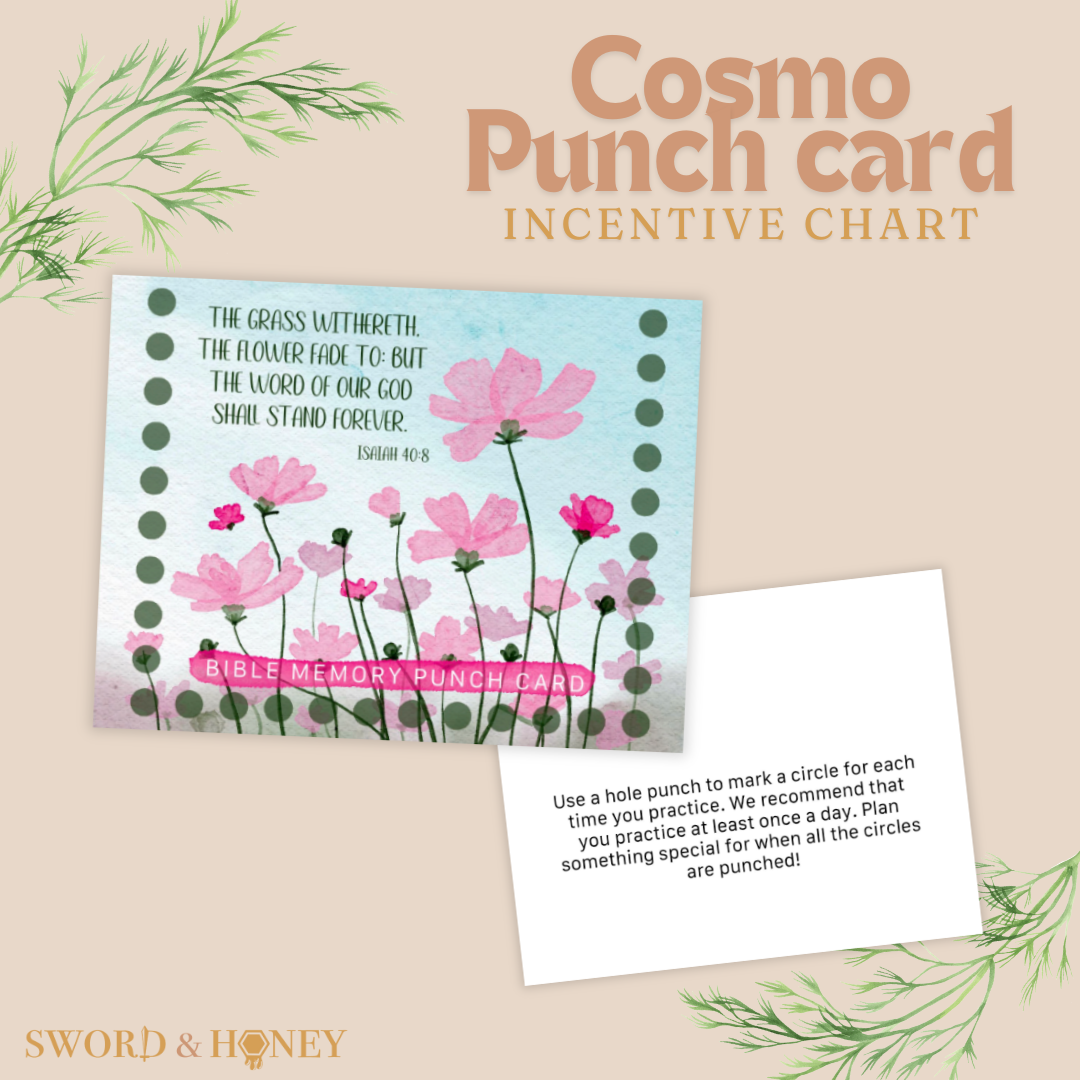 Punch Card Incentive Chart Cosmos