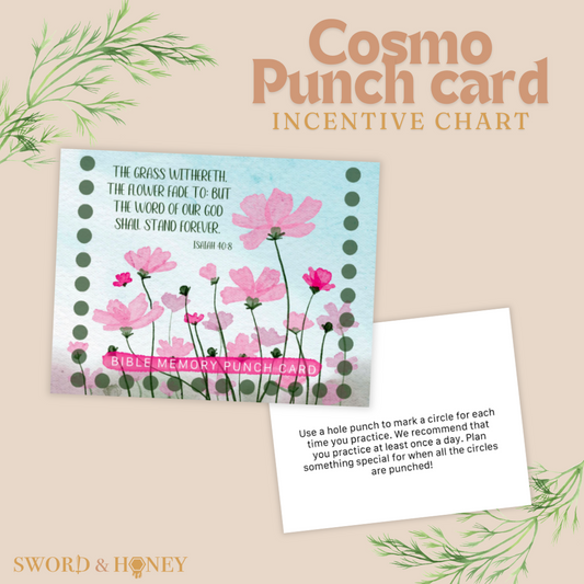 Punch Card Incentive Chart Cosmos