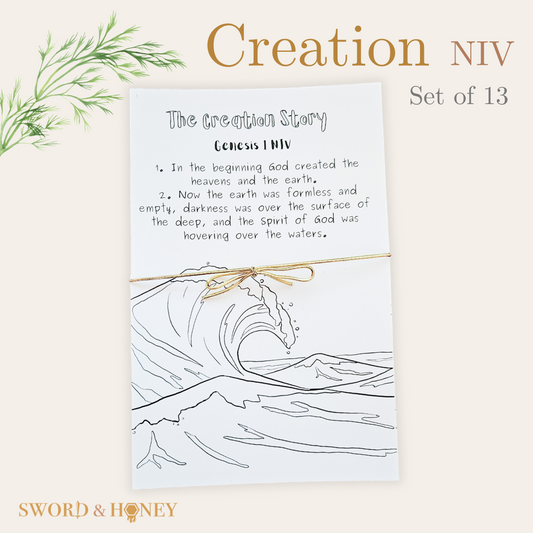 Creation NIV Coloring Pages